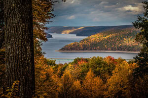 Read more about the article Fall 2021 Edition Letter from the Guest Editor