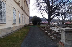 14 IMG_20190314_115603