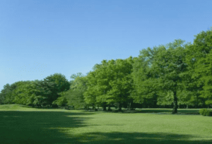 宗教の脱会とは？基本的な手続きと注意点