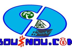 bousnou.com Services d'évaluation de la valeur marchande d'entreprises