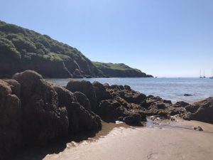 Salcombe beach