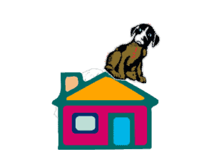 dog on roof of house