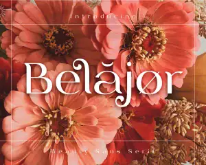 Belajor Beautiful Sans Serif Font