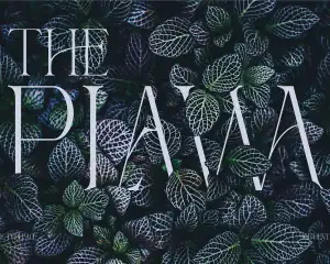 Reging – Elegant Serif Font for Beauty Branding