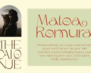 The Calonue Classic & Elegant Font