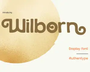 Wilborn – Display Font