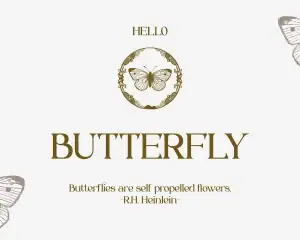 Braisle – Beauty and Elegant Serif