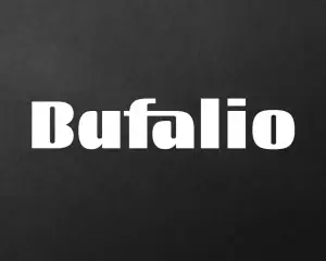 Bufalio Modern Bold Font