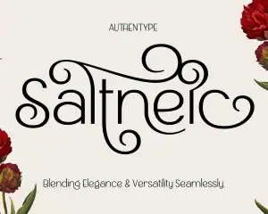 Saltneic – Modern Elegant Sans Serif Font