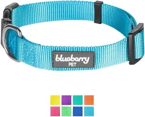 Blueberry Pet Classic Solid Dog Collar