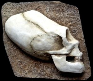 Lebka Paracas 300x260