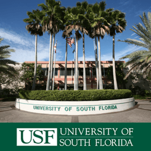 USF SSDP USF SSDP