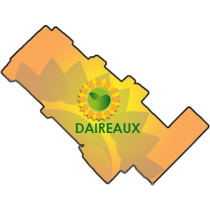Daireaux + FLOR