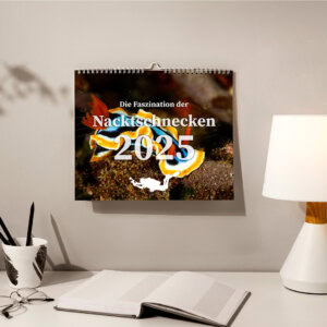 Kalender: Die Faszination der Nacktschnecken – 2025