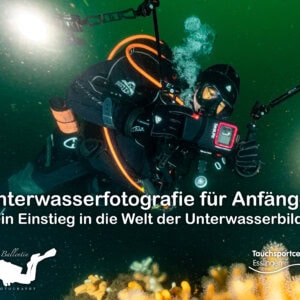 Dein Einstieg in die Welt der Unterwasserbilder