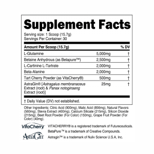 CORE SERIES POST 30 Servings 1