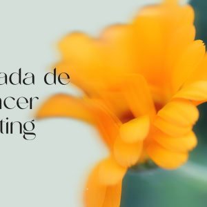 II Jornada de Influencer Marketing