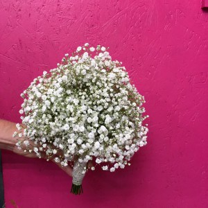 Brautstrau&szlig;_Schleierkraut