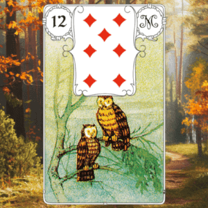 Lenormand Eule Karte 12: Deutung & Bedeutung in Liebe, Beruf, Gesundheit, Selbstfindung. Mit wertvollen FAQs!