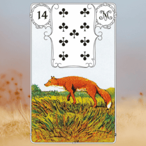 Bedeutung Fuchs Lenormand