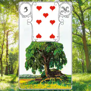 Lenormandkarte Baum 5.
