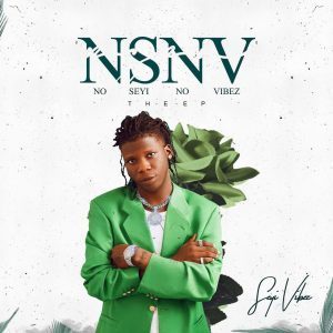 Seyi Vibez – NSNV Mp3