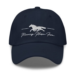 Running Horse Dad hat