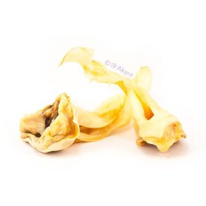 Hertenoren zonder vacht