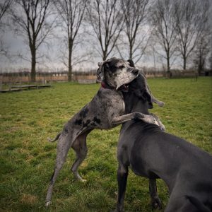 Jaar abonnement - maandelijks bezoek