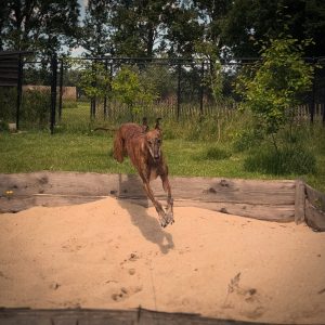 Half jaar abonnement - maandelijks bezoek