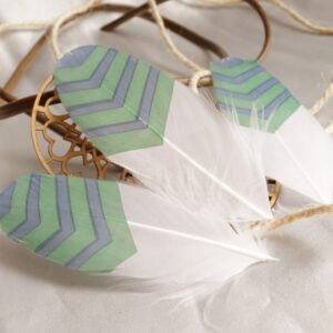 Plumas blancas con líneas verdes y azules
