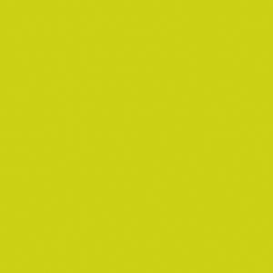 168398 24cm 3ply KIWI NAPKIN (8X250) - To Order