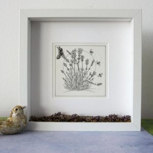 Zwart wit Natuur pentekening in 3d lijst