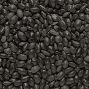 Shampoo-Alternatives-Shikakai-Powder