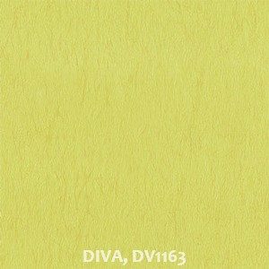 DIVA, DV1163