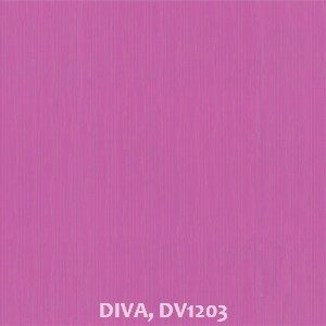 DIVA, DV1203