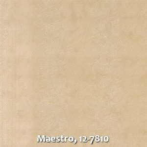 Maestro, 12-7810
