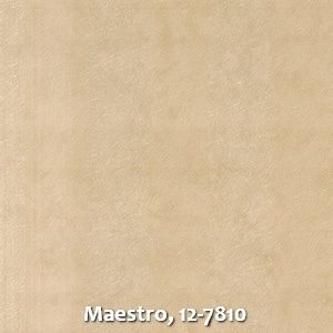 Maestro, 12-7810