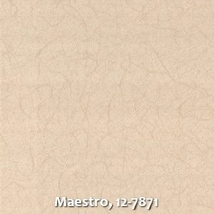 Maestro, 12-7871