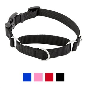 Frisco Solid Martingale Dog Collar With Buckle