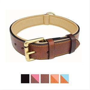 Soft Touch Collars Leather Two Tone Padded Dog Collar