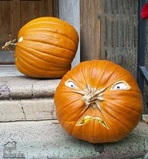 ugly pumpkin