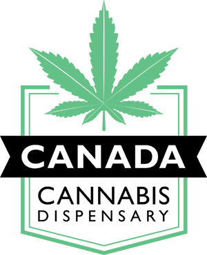 You are currently viewing Canada Cannabis Dispensary