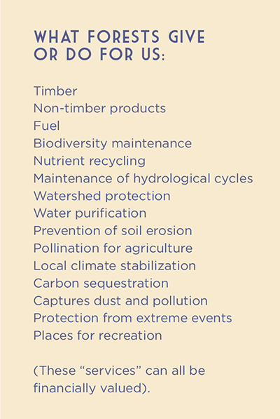 ckWinter15_v11FINAL-57