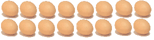 16 chicken eggs (2 rows of 8)