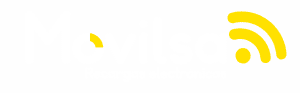 12Logo_NEGATIVO_Movilsa.2.0