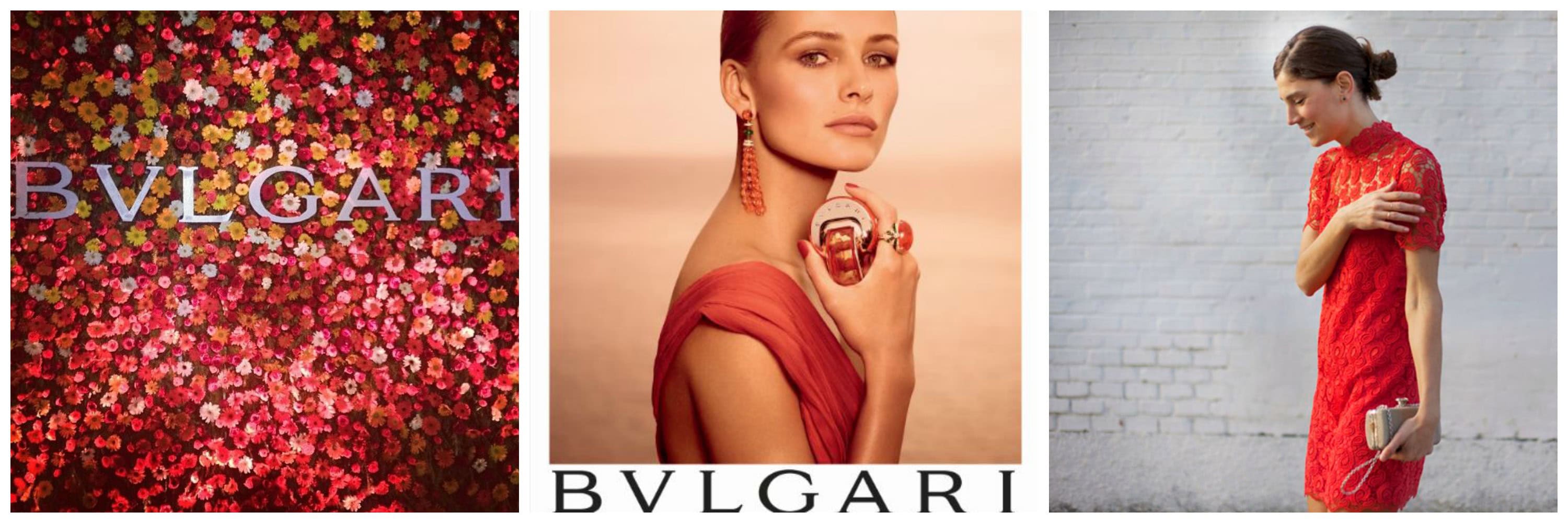 Bvlgari omnia indian garnet discontinued shop