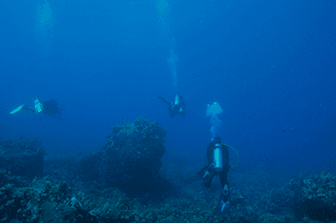 Scuba Diving Lighthouse