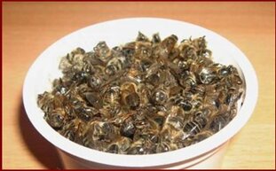 Пчелиный подмор