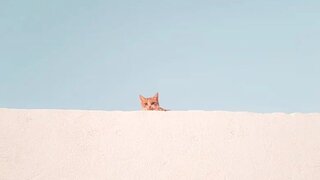 ワードプレス初心者【コピペで簡単！】サイドバーに背景色をつける